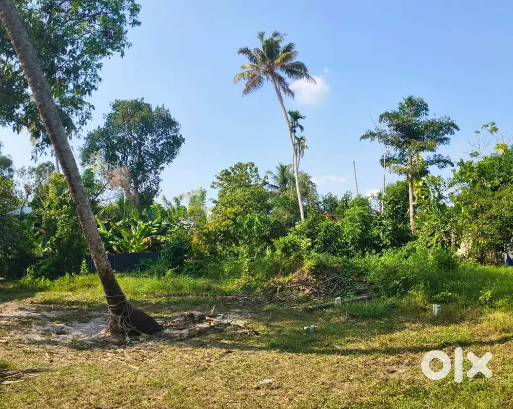 prime 17 cent residential plot for sale