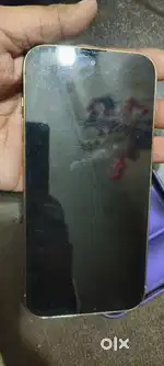 14 pro max