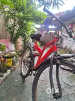Ranger shockup cycle