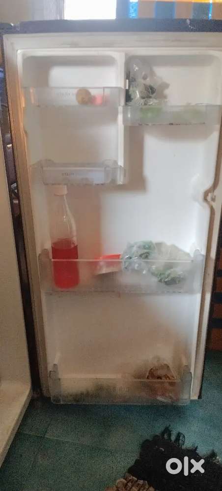 Fridge as best