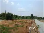 Simplex House in 1500000