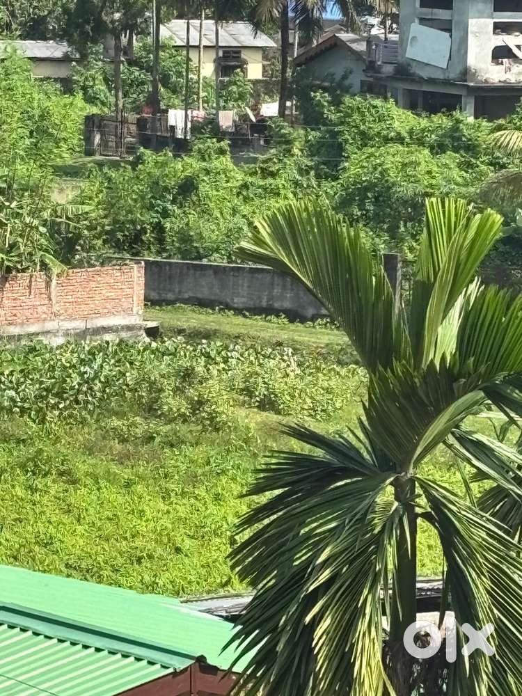 3 kotha land for sale