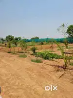 About 8 acres land at Gungloor village, Medak