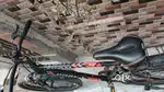 AVON CODEX MTB Bicycle
Ride Strong. Ride Free!