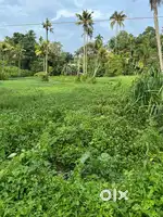 Plot for sale in Kuthiyathodu, Alappuzha