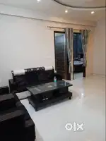sunshine society vip road