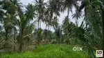 Farmland with house for sale in Kozhinjampara, Palakkad
