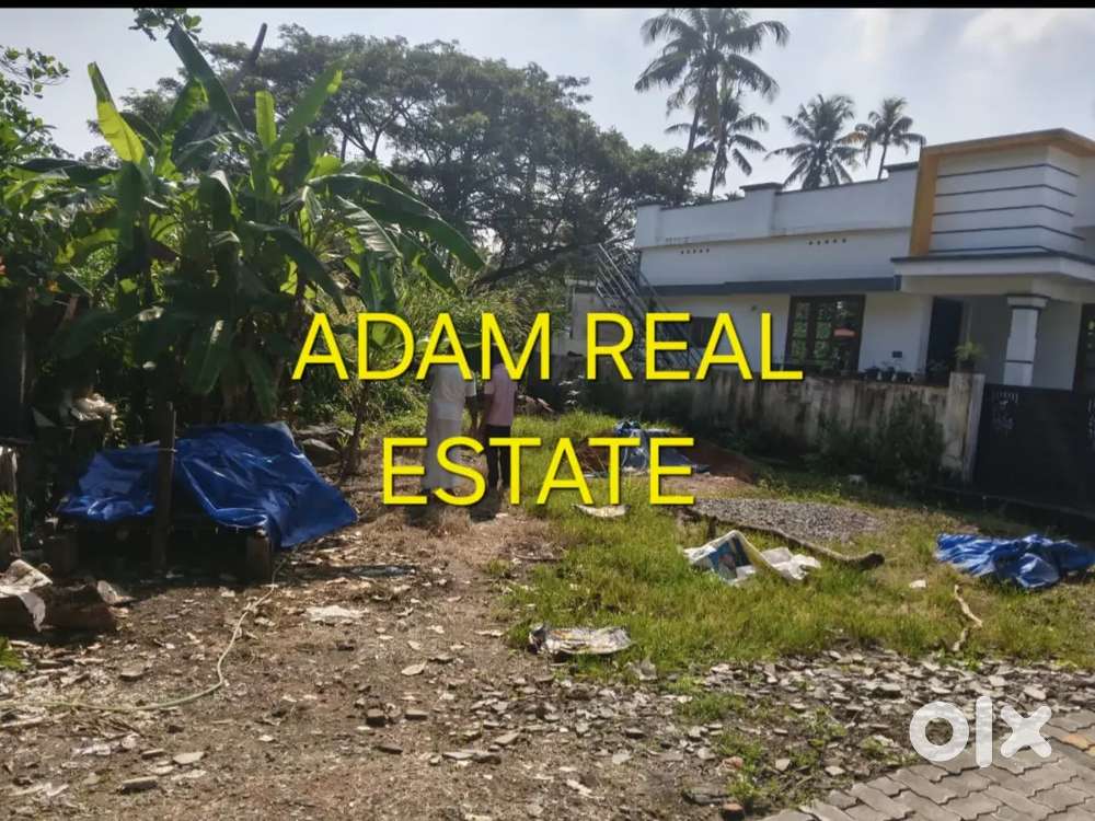 3.5 cent land for sale aluva kadungalloor near muppathadam