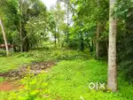 സ്ഥലം വിൽപ്പനയ്ക്കു