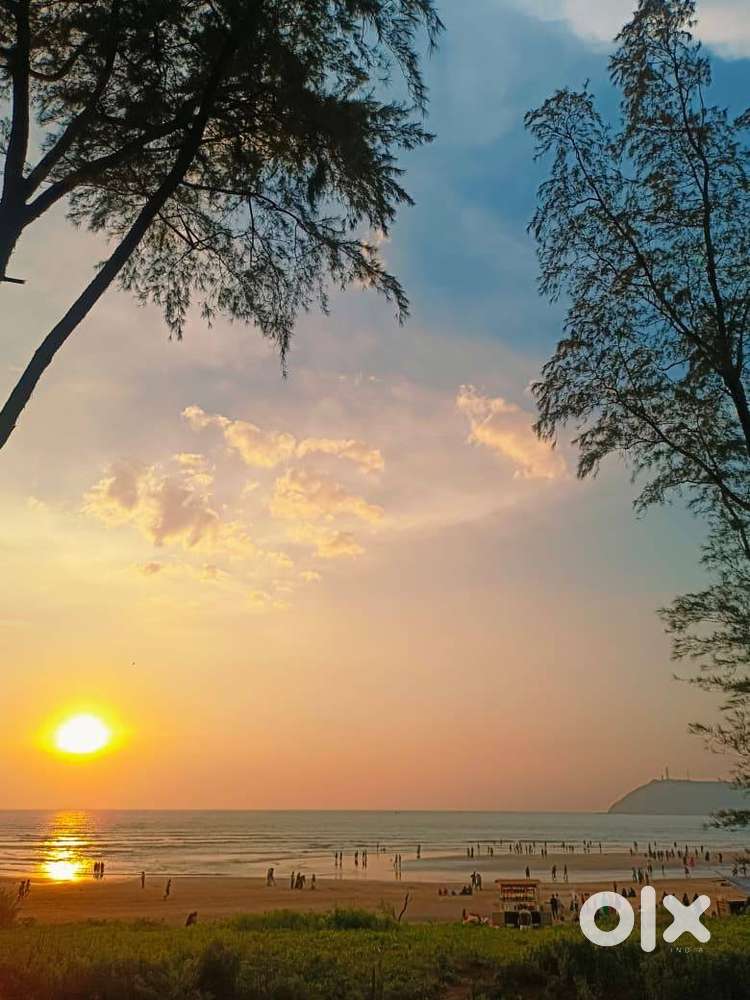 Highly skilled Continental Chef