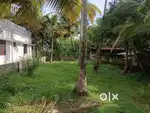 வெம்பனூரில் 8 சென்ட் வீட்டு மனை விற்பனைக்கு!