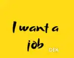 എനിക്ക് ഒരു ജോലി ആവശ്യമുണ്ട്.  Office assistant, Billing, front office