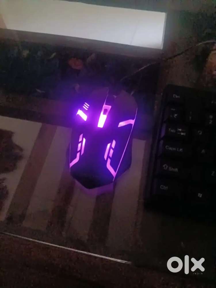 1 manath old. Best porodakat