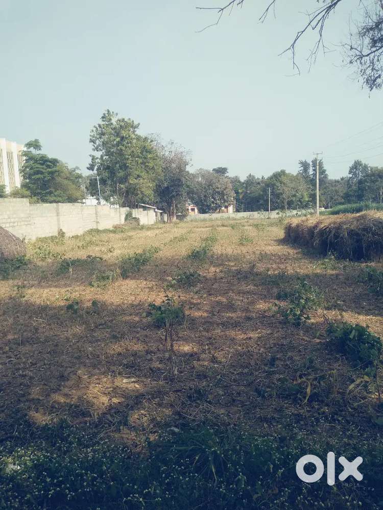 1 acres 2 kunte land sale harohalli  gain College compound attached