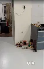 girl roommate required