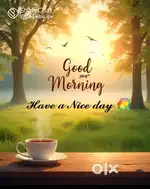 Denave pvt ltd