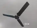 Ceiling fan on sell