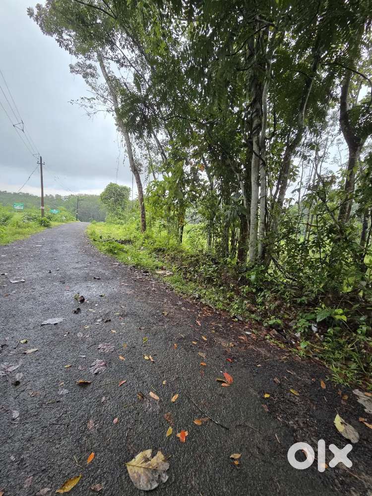64 Cent Land for sale near Mannady