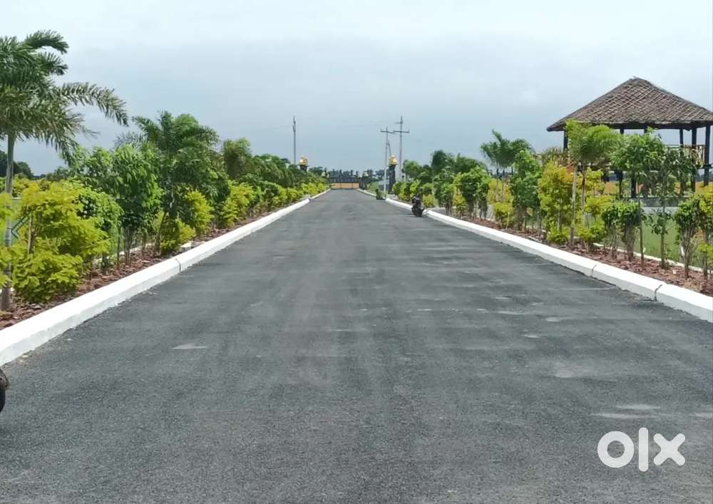 Ganguru, CRDA Approved Plots