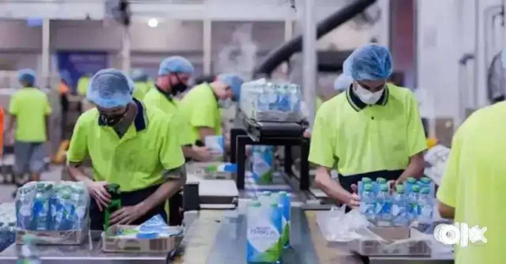 PACKING /SCANNING JOB AVAİLABLE APPLY NOW