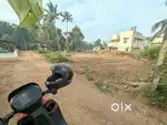 House plot 15 cent near samkranthi 4.25 lakh/cent