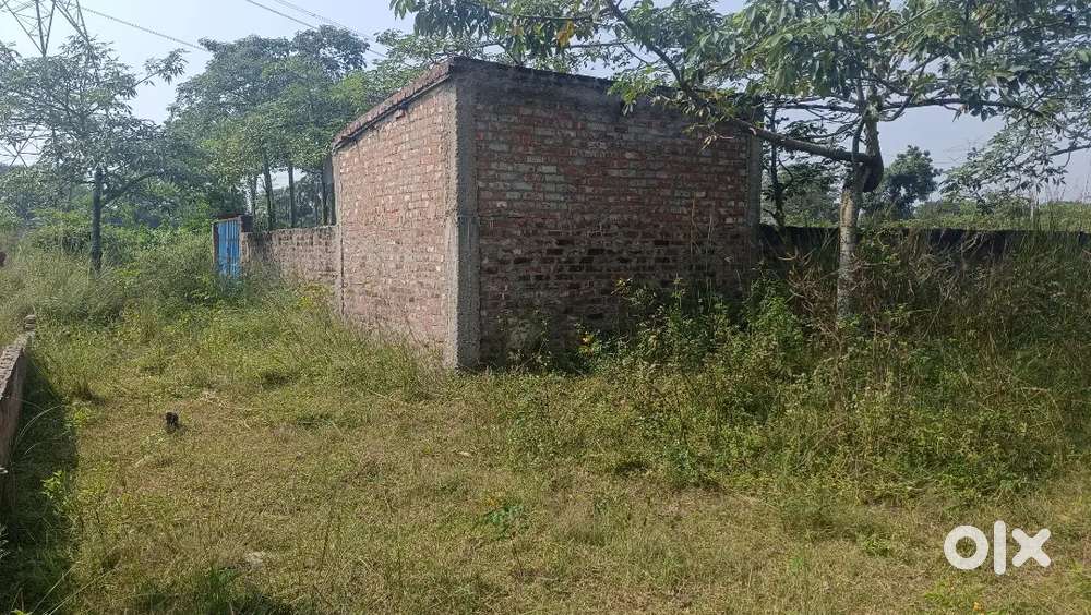 Plot 8 kathha