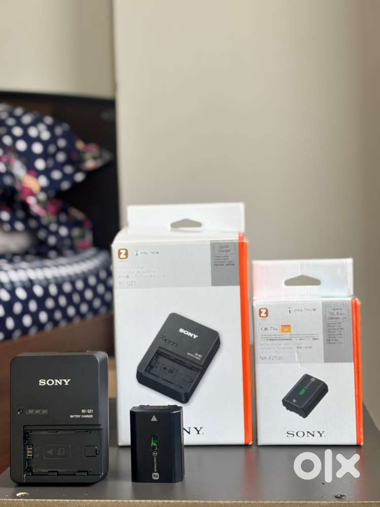 Sony original battery and charger
