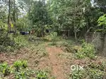 Residencial Land 8 cent Kolangattukara Thrissur
