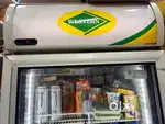 SRF500EC-GD Vertical Deep Freezer