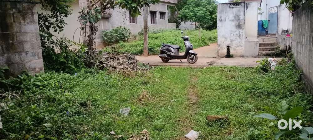 సామర్లకోట న్యూ MRO ఆఫీస్ ఎదురుగా ఉండే వీధిలో 116 గజాల పెంకుటిల్లు