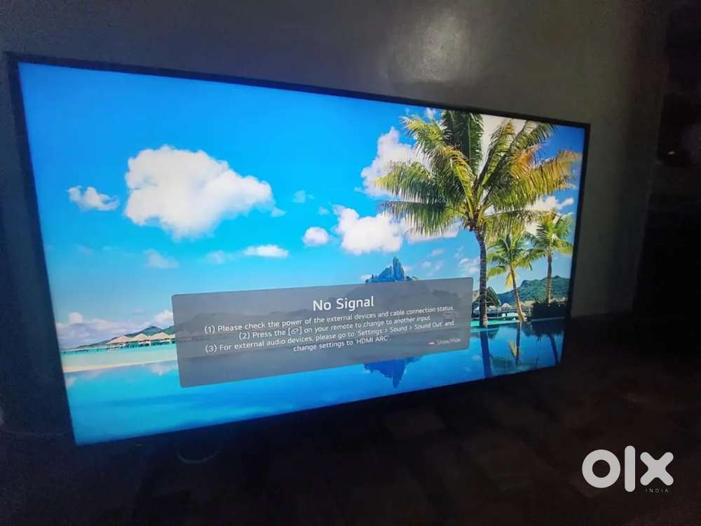 Lg65inch 1year old