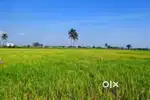 1 acre land for sell ramachandrapuram near venture