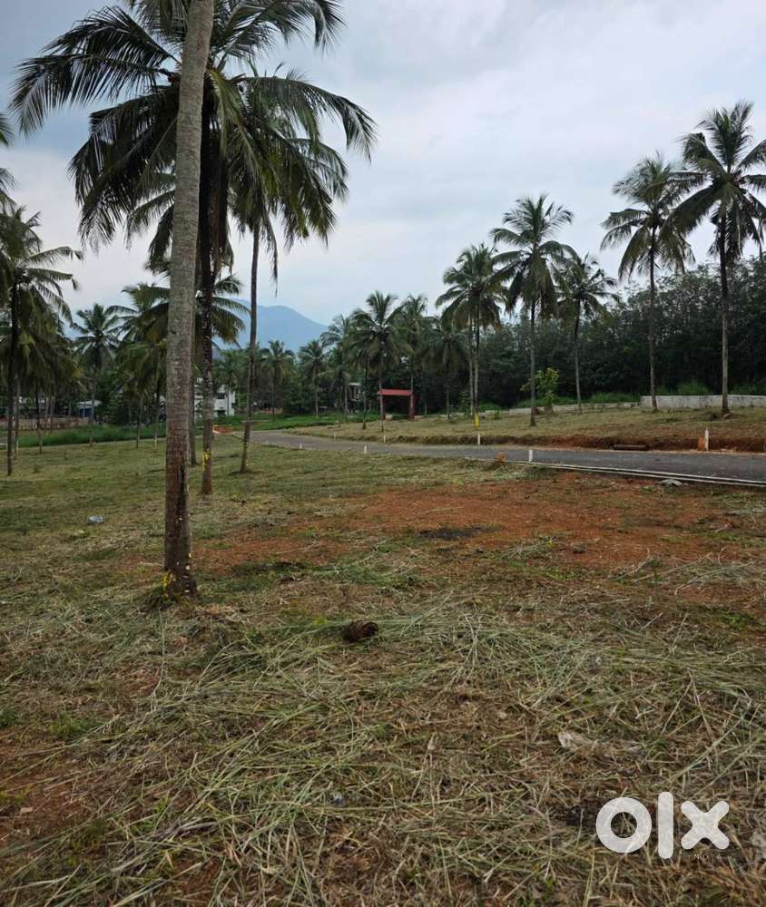 House plot for sale in Mannarkkad, Palakkad