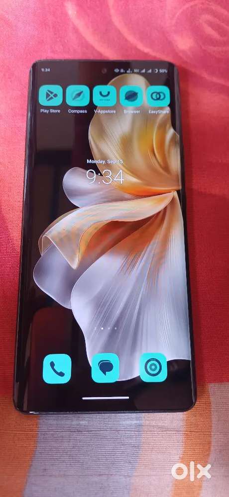 Vivo v30 mint condition