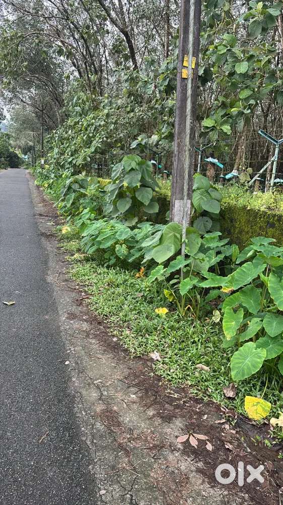 10 ACRE LAND FOR SALE IN KORATTY