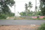16cents for sale,Asaripallam -Pampanvilai Road