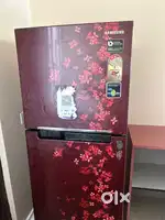 Fridge double door