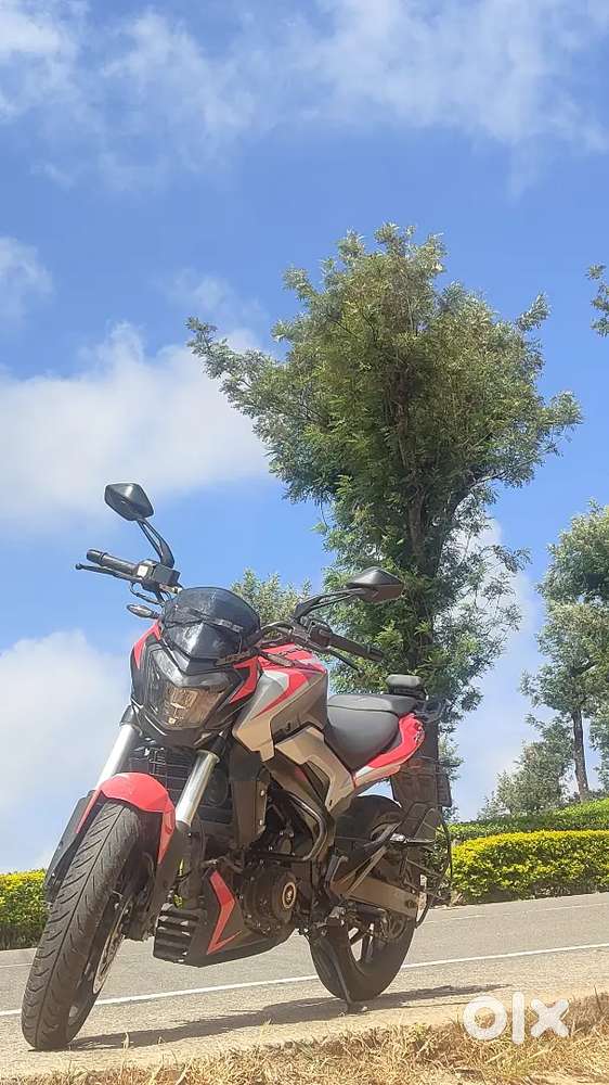 Dominar 250 (2025) Brand new Condition - Urgent sale for Job transfer