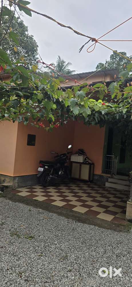 85 cents with two 3 BHK houses near Pooyappally town and school