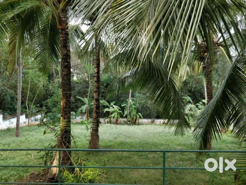 തൃശ്ശൂർ ടൗണിൽ posh ഏരിയയിൽ 16സെന്റ് ഹൗസ് പ്ലോട്ട് വിൽപ്പനക്ക്