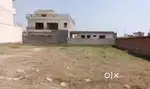 275Gaj Plot On 80ft Rd In Sector 125 Sunny Enclave Kharar Mohali