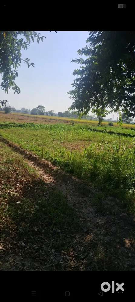 Plot at Pandori Road Gurdaspur near Gohat pokhar Gate