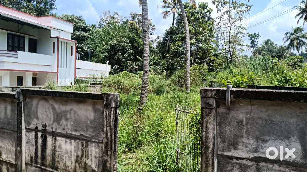 11  സെന്റ്  വസ്തു വില്പനക്ക്