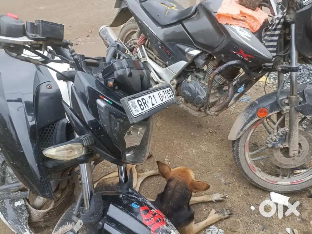 New bike lena hii
