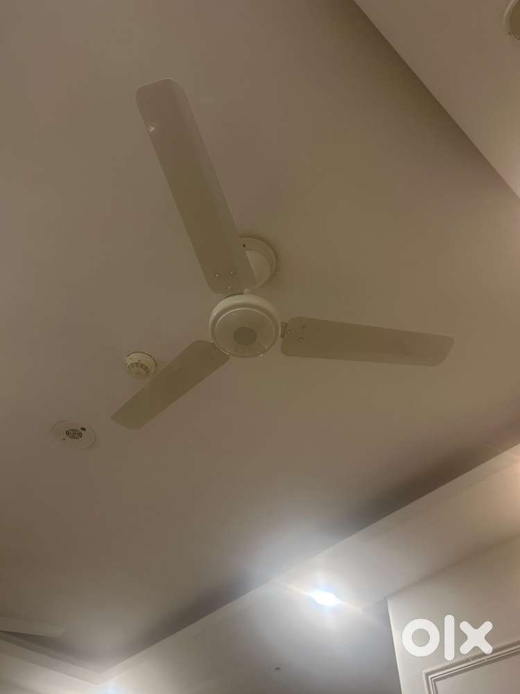 2 White fan with remote