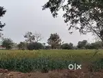 Agriculture Land of 7 acres bit, near to NH 161 at Pitlam. BT Road Bit