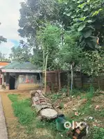 1.5gonda jaga bikri kora hobe sathe dukan r ghor, main road er sathe