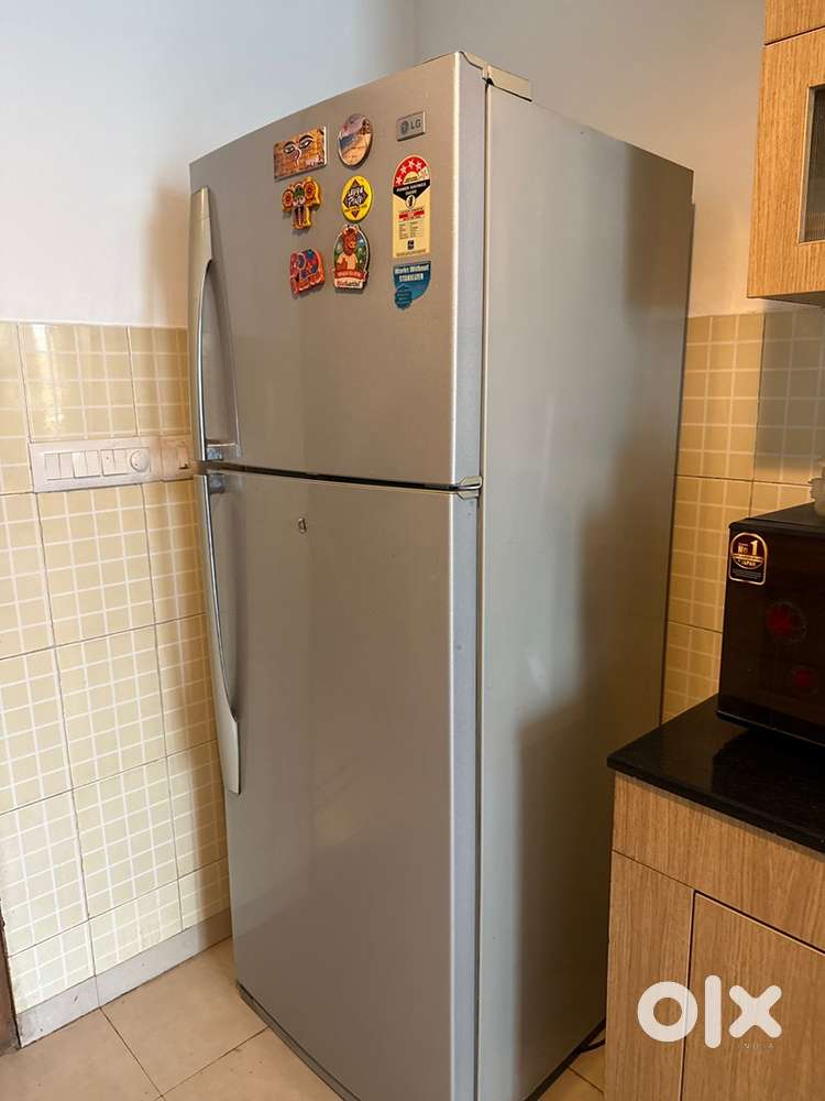 LG 365 Litre Grey 2009 Model