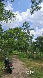 21.800 SQ FT LAND SALE RAMAKRISHNA NAGARA 20 GUNTA LAND ALL AREAS AV