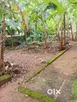 5.50cents of Prime Residential Property near Palarivattom